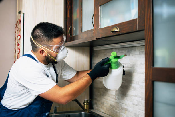 Best Pest Removal Services  in Polk City, FL