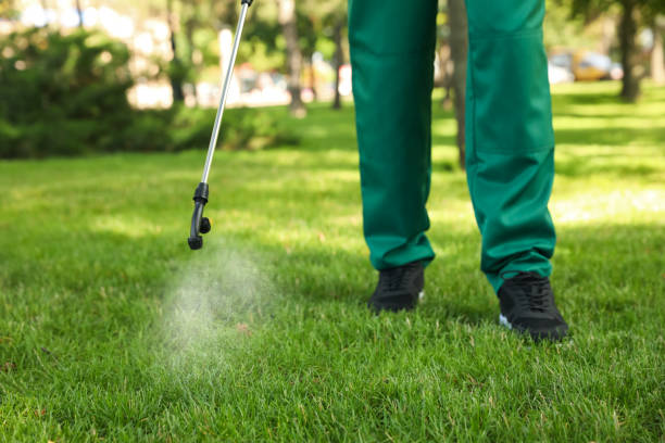 Best Residential Pest Control  in Polk City, FL