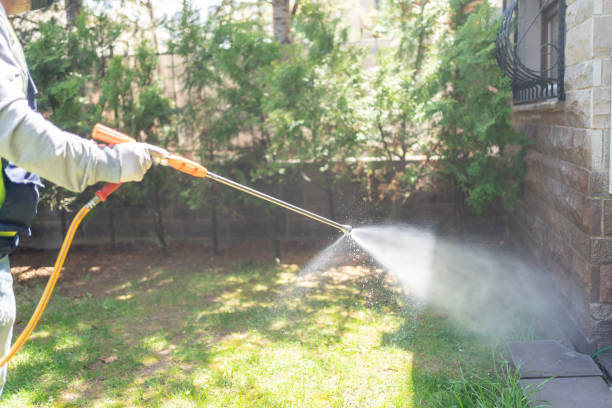 Best Wasp Removal Services  in Polk City, FL
