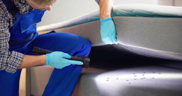 Best Pest Inspection Near Me  in Polk City, FL